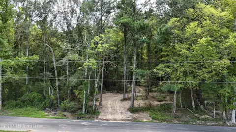 Johns Shiloh Road, Brandon, MS 39042 photo 119