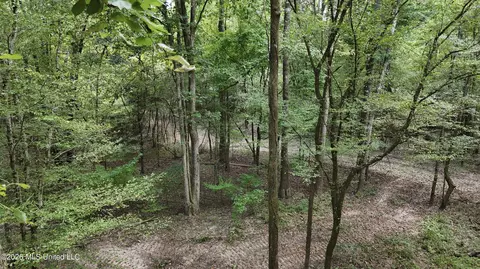 Johns Shiloh Road, Brandon, MS 39042 photo 43