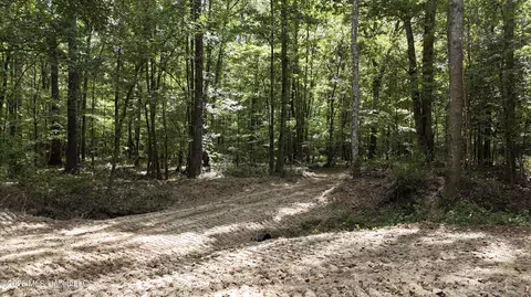 Johns Shiloh Road, Brandon, MS 39042 photo 4