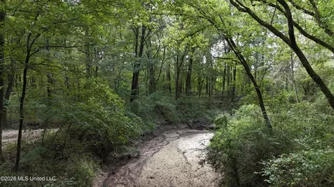 Johns Shiloh Road, Brandon, MS 39042 photo 35
