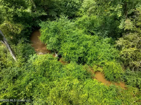 View/Area - 1189 Kenna Rd, Summit, MS 39666 photo 4 of 6