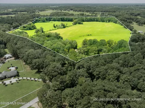 View/Area - 1189 Kenna Rd, Summit, MS 39666 photo 6 of 6