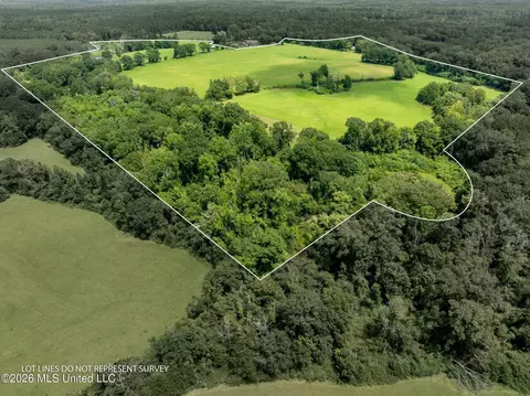 View/Area - 1189 Kenna Rd, Summit, MS 39666 photo 1 of 6