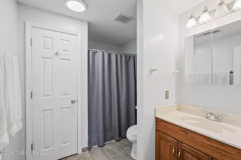 Bath - 4370 Bienville Rd, Nesbit, MS 38651 photo 5 of 5
