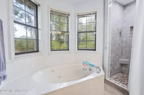 Bath - 4370 Bienville Rd, Nesbit, MS 38651 photo 2 of 5