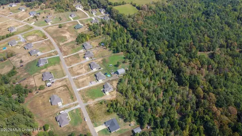 131 Deerfield Trce, Coldwater, MS 38618 photo 6