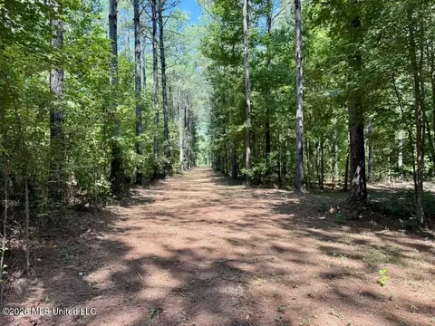 00114 Pocahontas Rd, Flora, MS 39071 photo 39
