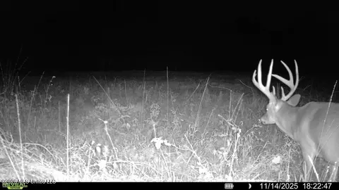 00114 Pocahontas Rd, Flora, MS 39071 photo 52