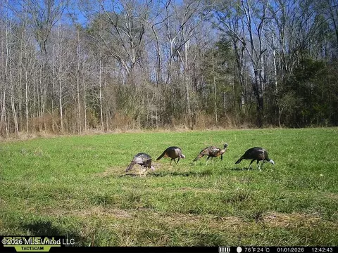 00114 Pocahontas Rd, Flora, MS 39071 photo 33