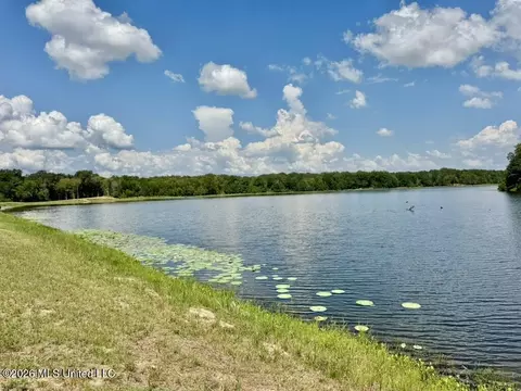 00114 Pocahontas Rd, Flora, MS 39071 photo 45