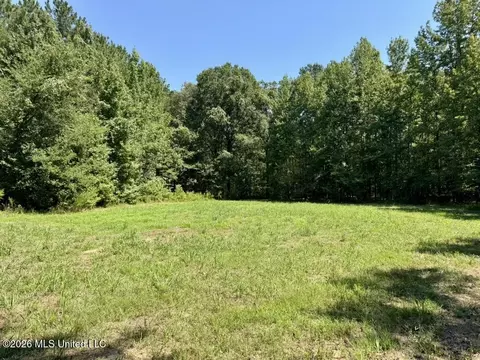 00114 Pocahontas Rd, Flora, MS 39071 photo 76