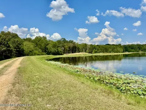 00114 Pocahontas Rd, Flora, MS 39071 photo 9