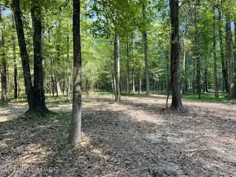 00114 Pocahontas Rd, Flora, MS 39071 photo 68