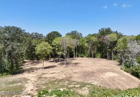 00114 Pocahontas Rd, Flora, MS 39071 photo 13
