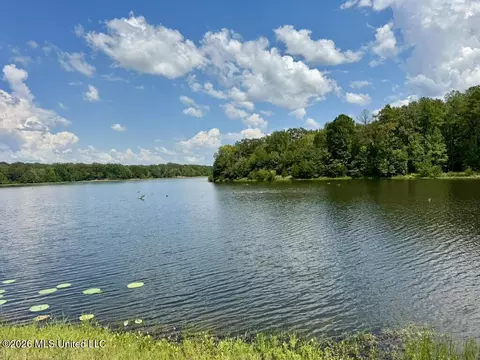 00114 Pocahontas Rd, Flora, MS 39071 photo 38