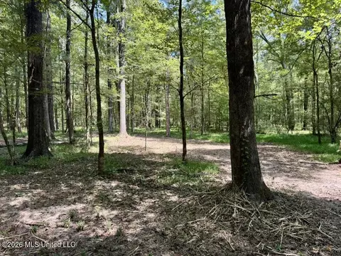 00114 Pocahontas Rd, Flora, MS 39071 photo 19