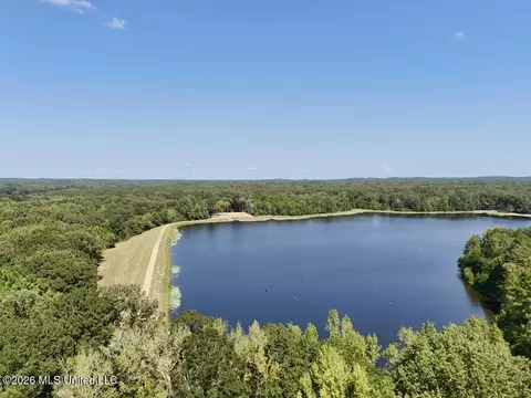 00114 Pocahontas Rd, Flora, MS 39071 photo 6