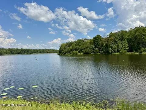 00114 Pocahontas Rd, Flora, MS 39071 photo 7
