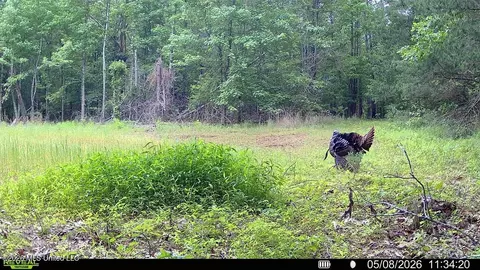00114 Pocahontas Rd, Flora, MS 39071 photo 21