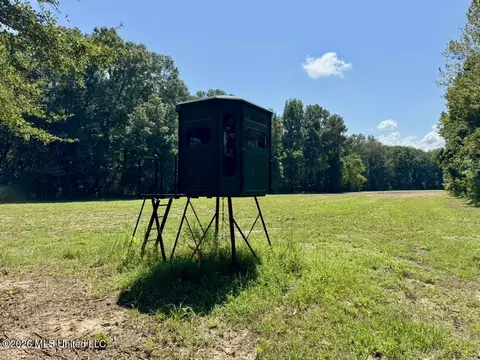 00114 Pocahontas Rd, Flora, MS 39071 photo 75