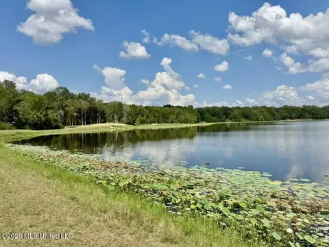 00114 Pocahontas Rd, Flora, MS 39071 photo 16