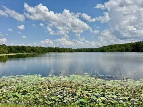 00114 Pocahontas Rd, Flora, MS 39071 photo 29