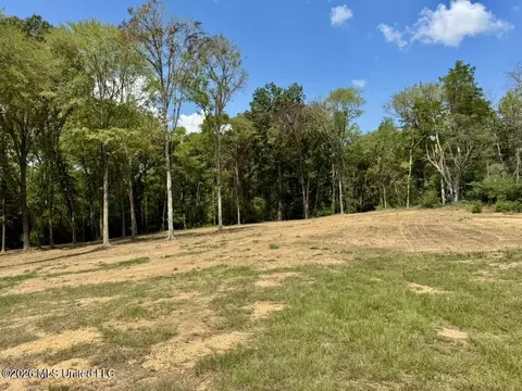 00114 Pocahontas Rd, Flora, MS 39071 photo 57