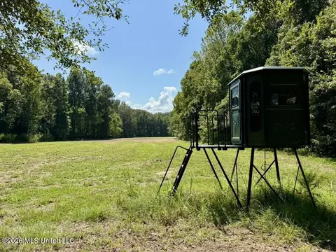 00114 Pocahontas Rd, Flora, MS 39071 photo 64