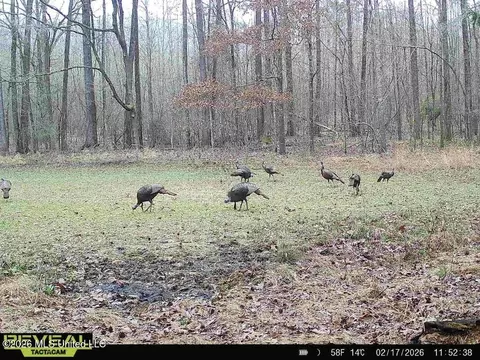00114 Pocahontas Rd, Flora, MS 39071 photo 40