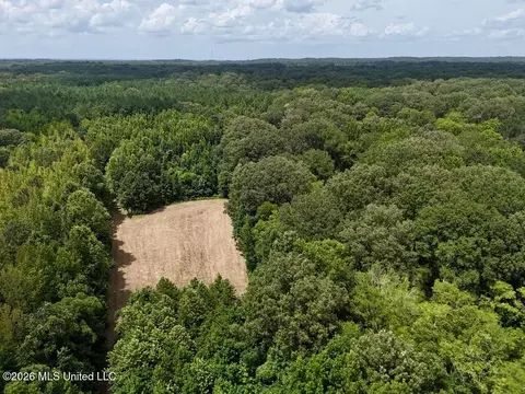 00114 Pocahontas Rd, Flora, MS 39071 photo 42