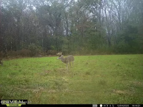 00114 Pocahontas Rd, Flora, MS 39071 photo 65