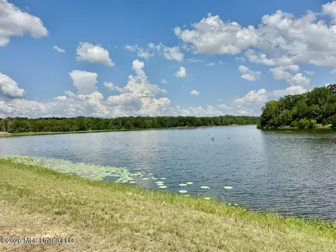 00114 Pocahontas Rd, Flora, MS 39071 photo 70