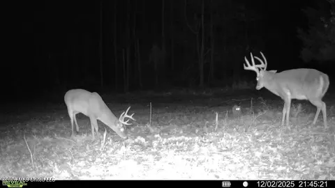 00114 Pocahontas Rd, Flora, MS 39071 photo 44
