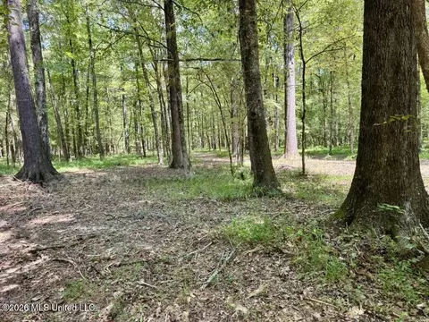 00114 Pocahontas Rd, Flora, MS 39071 photo 26