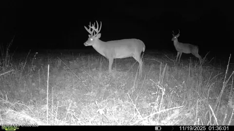 00114 Pocahontas Rd, Flora, MS 39071 photo 71