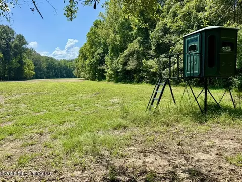 00114 Pocahontas Rd, Flora, MS 39071 photo 5
