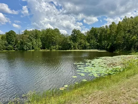00114 Pocahontas Rd, Flora, MS 39071 photo 41