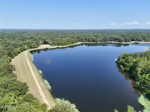 00114 Pocahontas Rd, Flora, MS 39071 photo 8