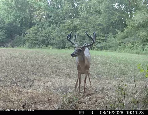 00114 Pocahontas Rd, Flora, MS 39071 photo 18
