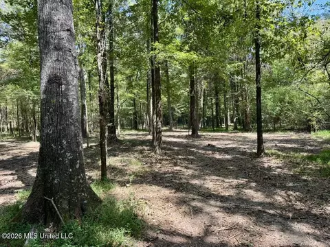00114 Pocahontas Rd, Flora, MS 39071 photo 35