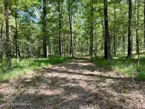 00114 Pocahontas Rd, Flora, MS 39071 photo 54