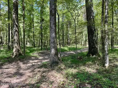 00114 Pocahontas Rd, Flora, MS 39071 photo 43