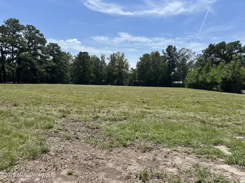 Marcus Mitchell Road, Picayune, MS 39466 photo 2