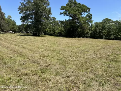 Marcus Mitchell Road, Picayune, MS 39466 photo 5