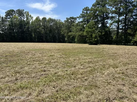 Marcus Mitchell Road, Picayune, MS 39466 photo 12