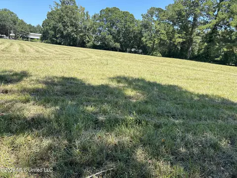 Marcus Mitchell Road, Picayune, MS 39466 photo 10