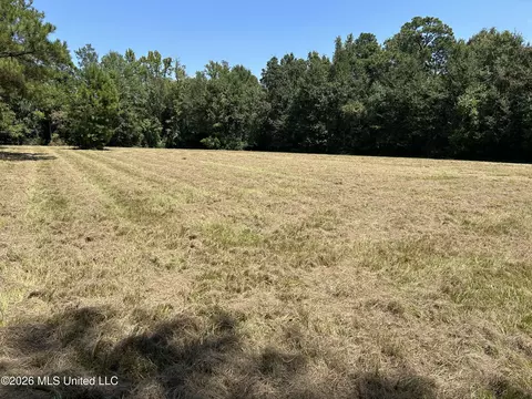 Marcus Mitchell Road, Picayune, MS 39466 photo 11