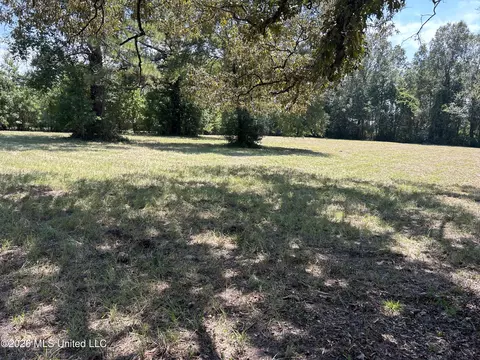 Marcus Mitchell Road, Picayune, MS 39466 photo 4