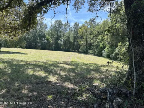 Marcus Mitchell Road, Picayune, MS 39466 photo 3