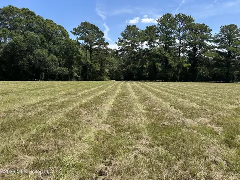 Marcus Mitchell Road, Picayune, MS 39466 photo 9